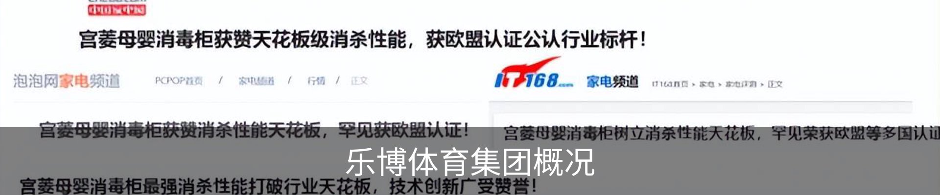 乐博体育集团概况