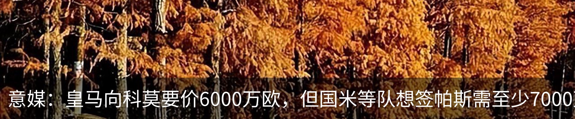 资讯动态