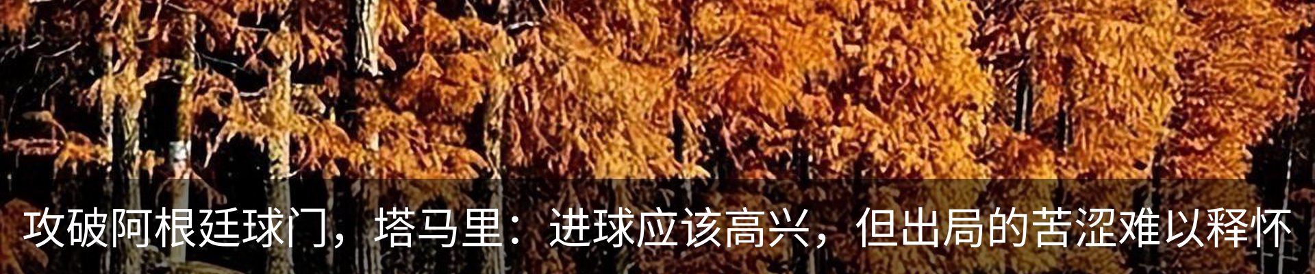 资讯动态
